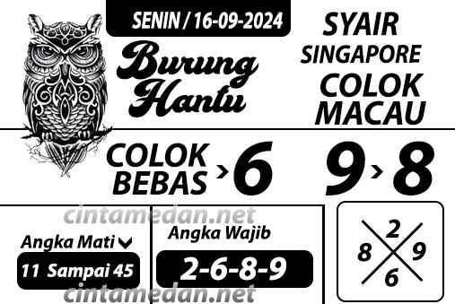 SYAIR SGP VIP